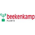 Beekenkamp Plants BV